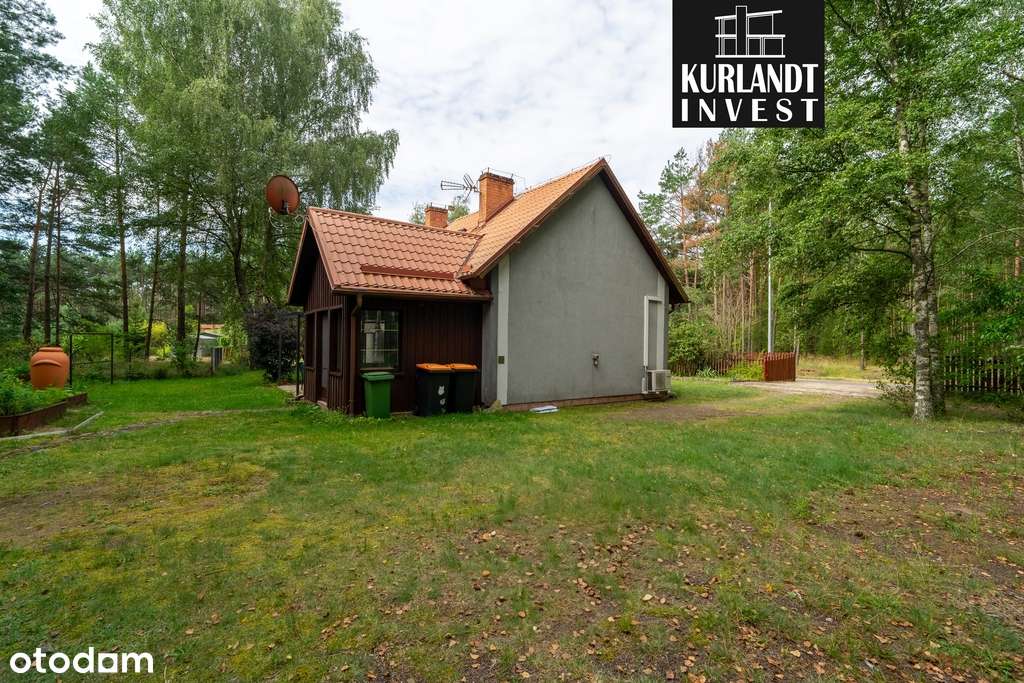 Dom z lasem Kowalskie Błota Bory Tucholskie-9