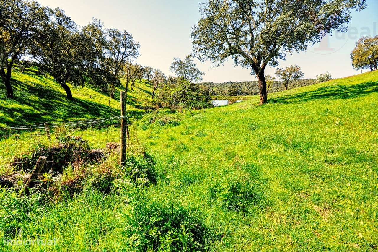 TERRENO EM S.BARTOLOMEU DA SERRA-39