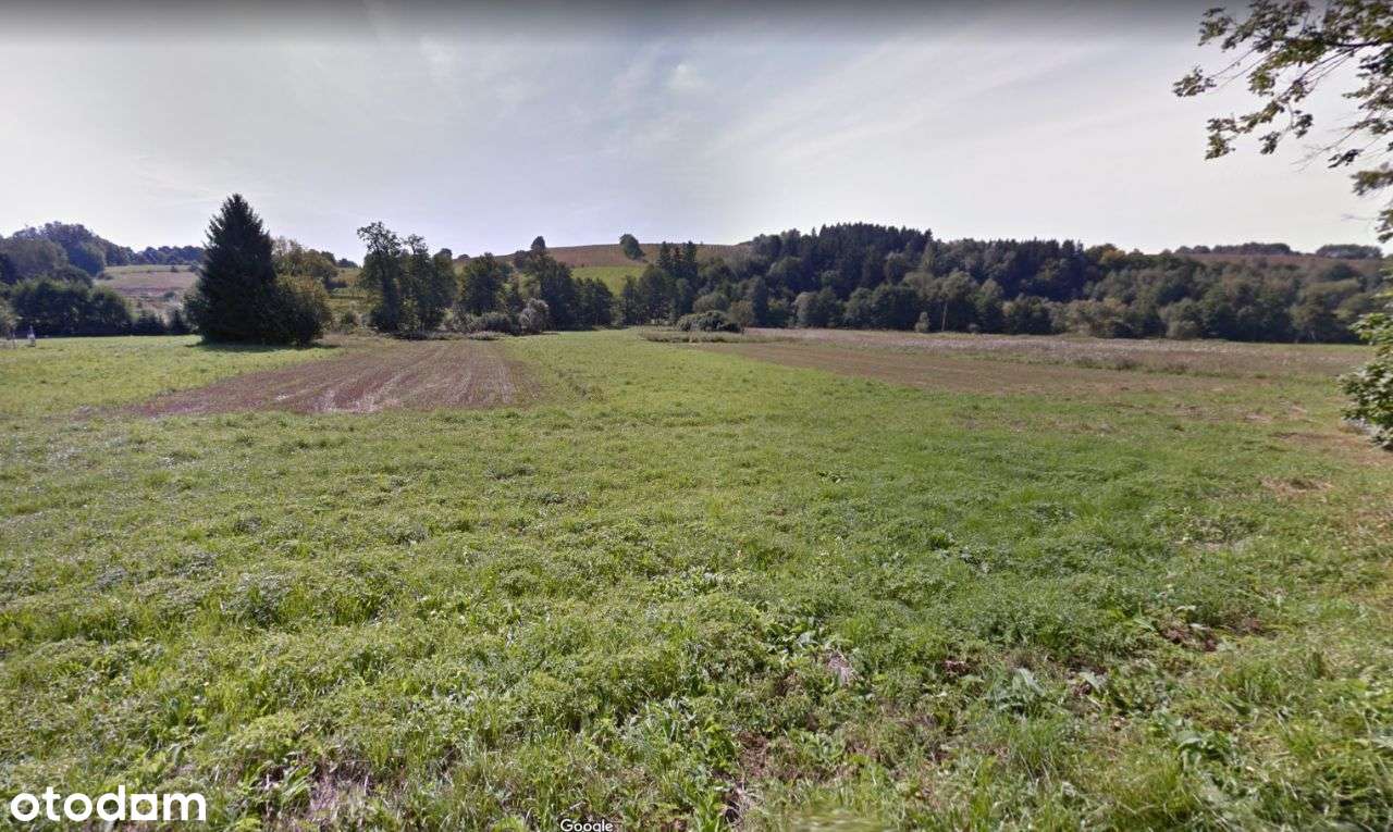 Sprzedam działki w Przygórzu-1