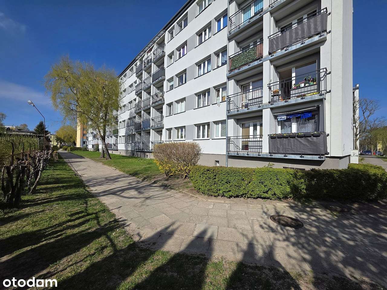 1-pokojowe z mini sypialnią,  ul. Tetmajera, II piętro - Więcej