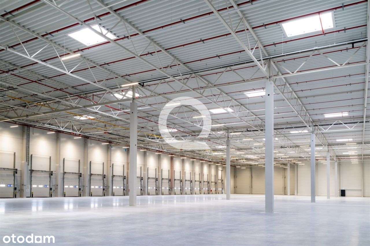 Nowoczesny magazyn blisko lotniska - Pełny obrazek: 4/7