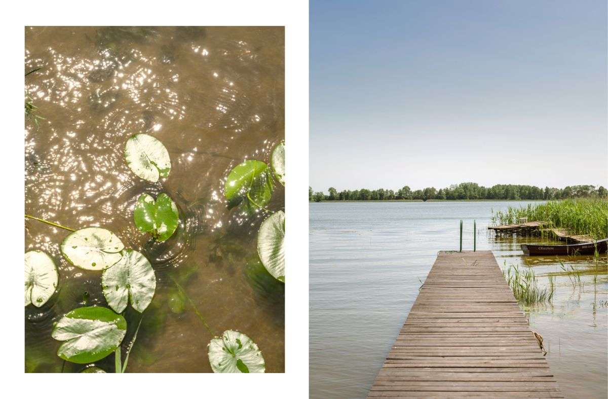 Domek mobilny na działce z widokiem na jezioro-18