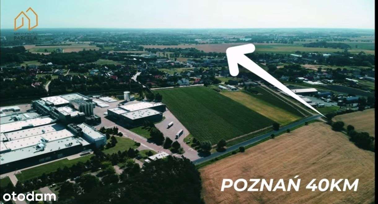 Działka inwestycyjna 2,9 ha, Śrem/Nochowo. - Pełny obrazek: 4/8