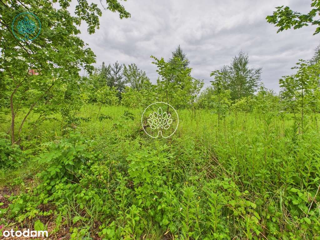 Głogowo działka budowlana 1503m2 - Pełny obrazek: 4/6