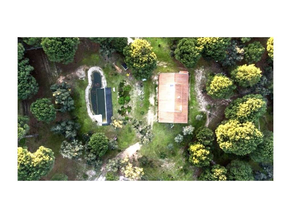 Monte Alentejano com 8,2 Hectares - Um Paraíso de Natureza e Sereni...-53