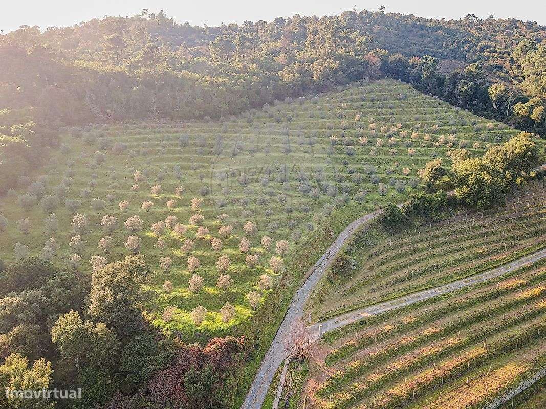 Quinta T3 para venda - Grande imagem: 4/47