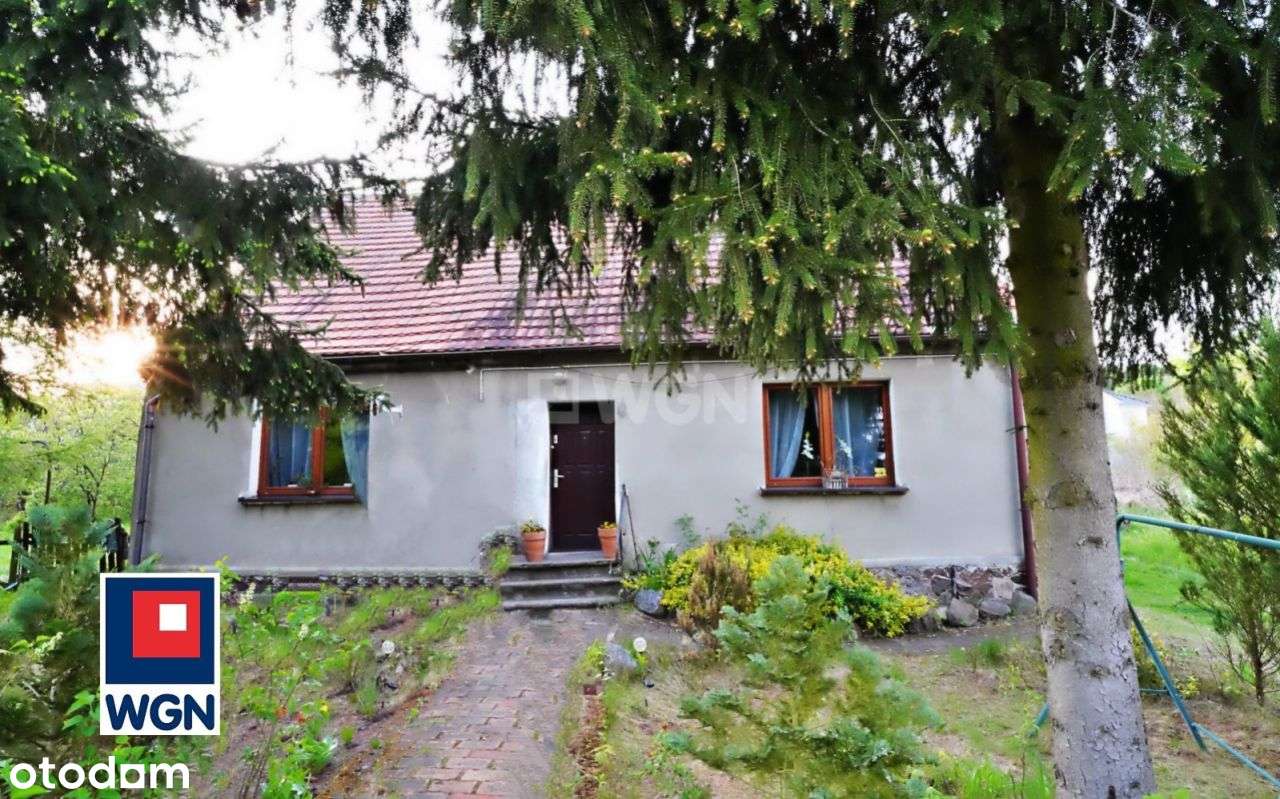 Dom na dużej działce z budynkami gospodarczymi. - Pełny obrazek: 4/18