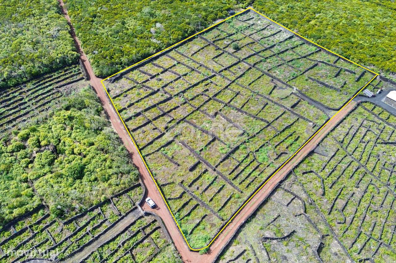 Terrenos Vitivinícolas situados nas Bandeiras na Ilha do Pico - Grande imagem: 1/19