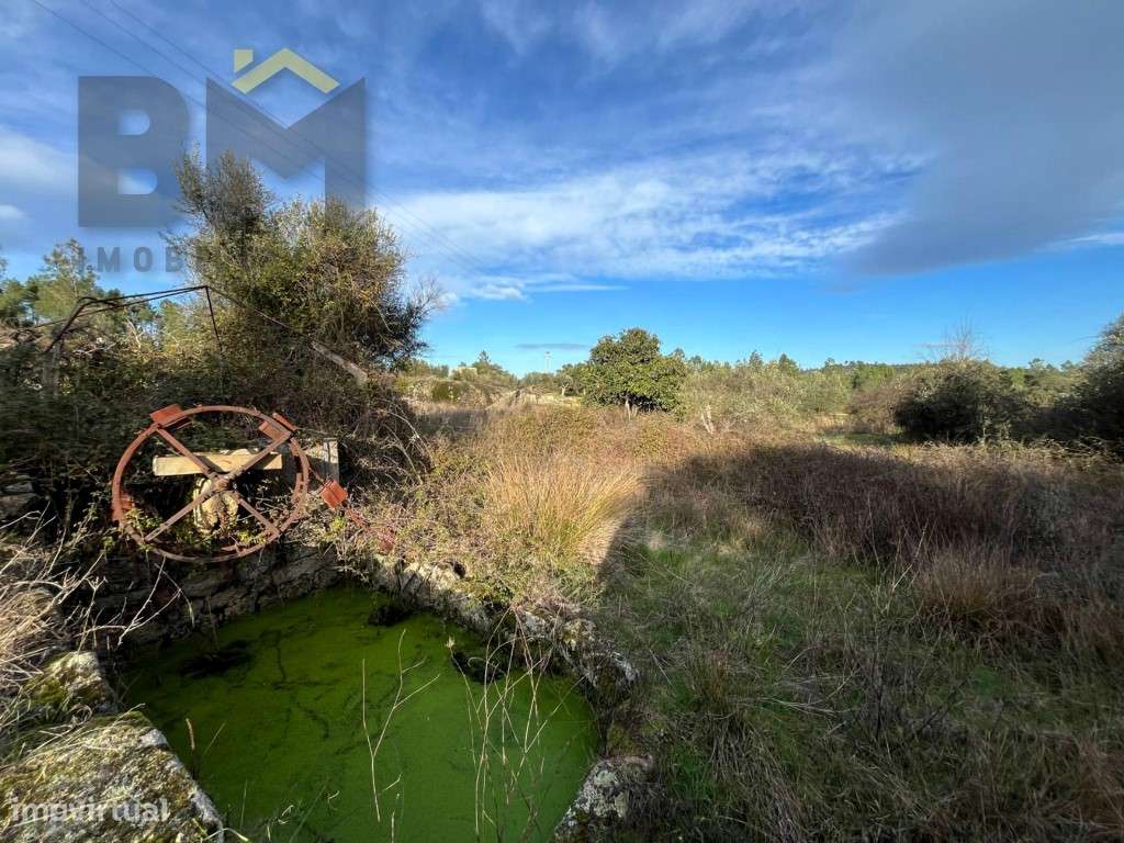 Terreno rústico, com 6280m2, para venda em Juncal do Campo! - Grande imagem: 4/15