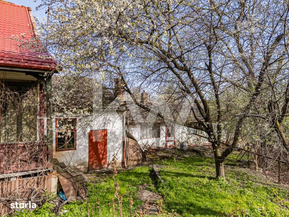 Casa in oras, 187 mp utili, teren 900 mp | COMISION 0% - Imagine principală: 5/19