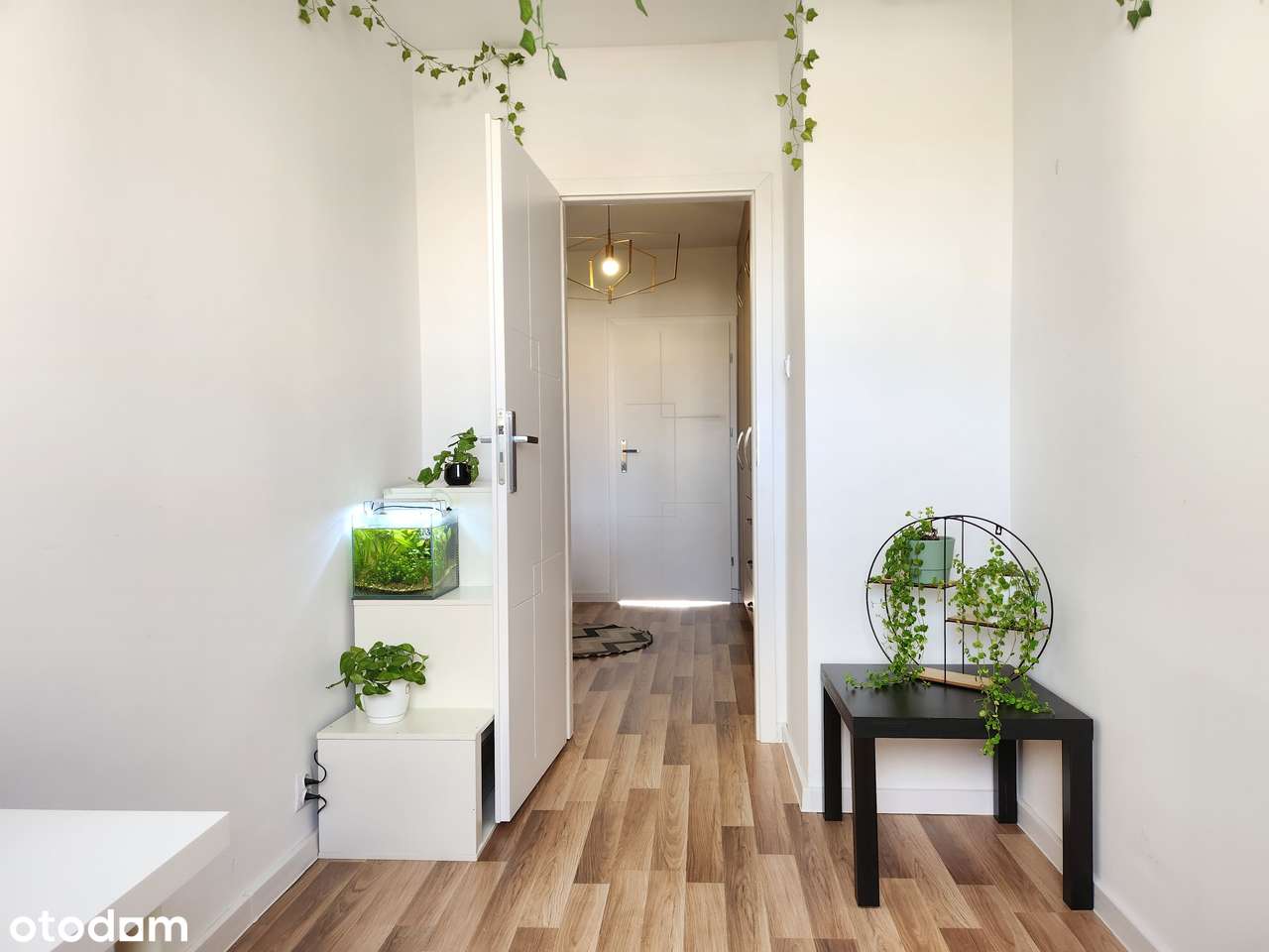 4 pokoje, salon z aneksem, ustawne, mieszkanie, ładny widok-10