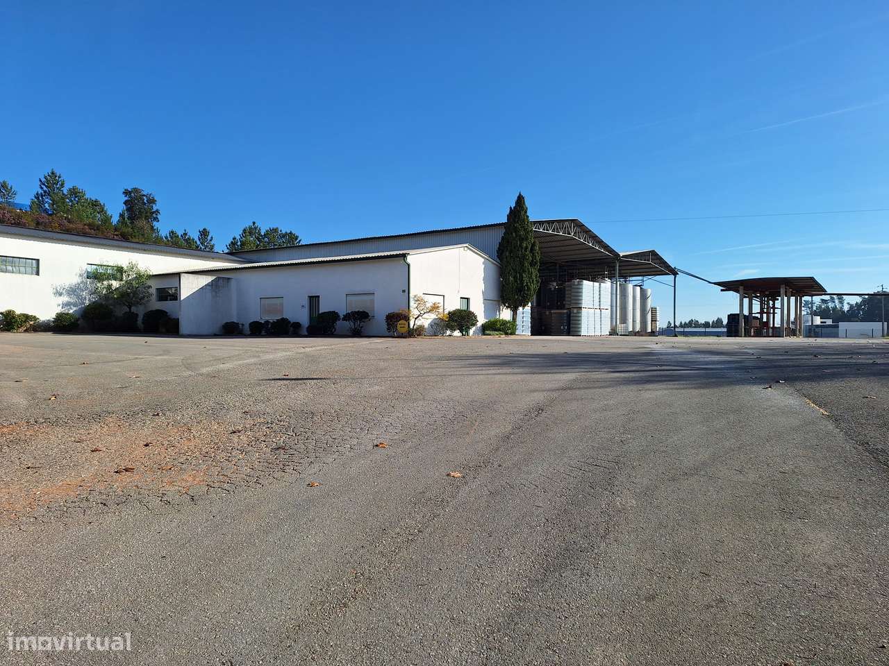 Adega com  Denominação de Origem Controlada e produção premiada intern - Grande imagem: 5/9