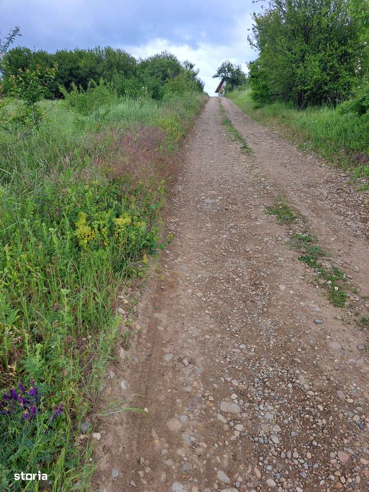 Teren intravilan 806 mp în Saldabagiu de Munte com. Paleu - Imagine principală: 5/7