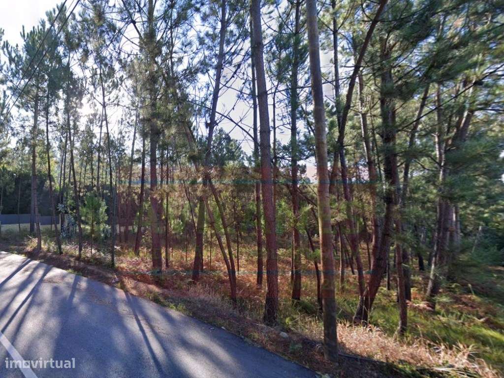 Terreno Construção - LOBÃO - Grande imagem: 2/3