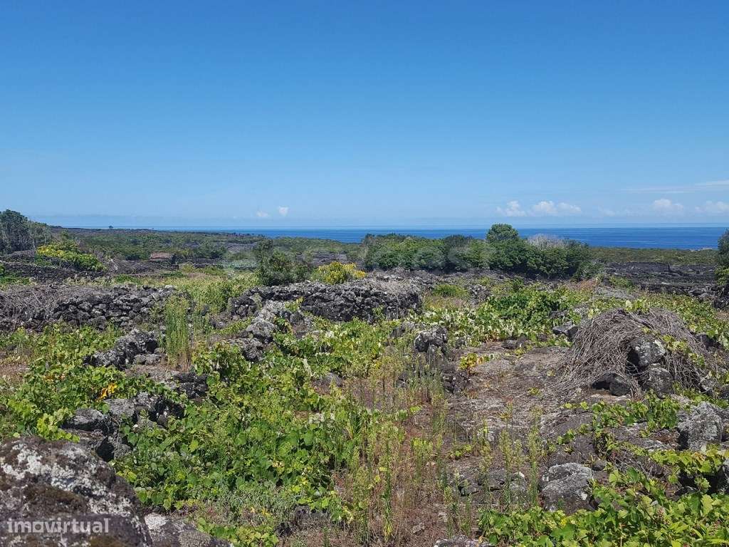 Terreno com Vista Mar e Montanha do Pico - Paisagem UNESCO - Grande imagem: 4/12