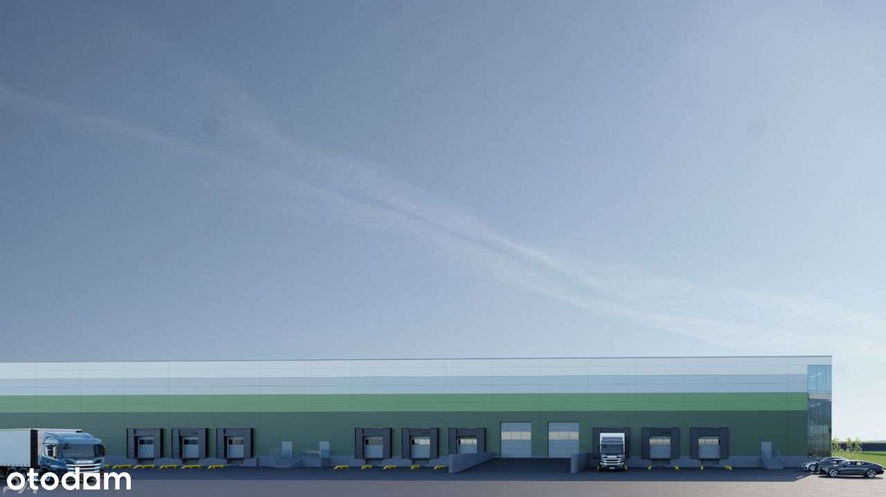 Hala magazynowa z pow. biurową - nowy projekt - Pełny obrazek: 3/8