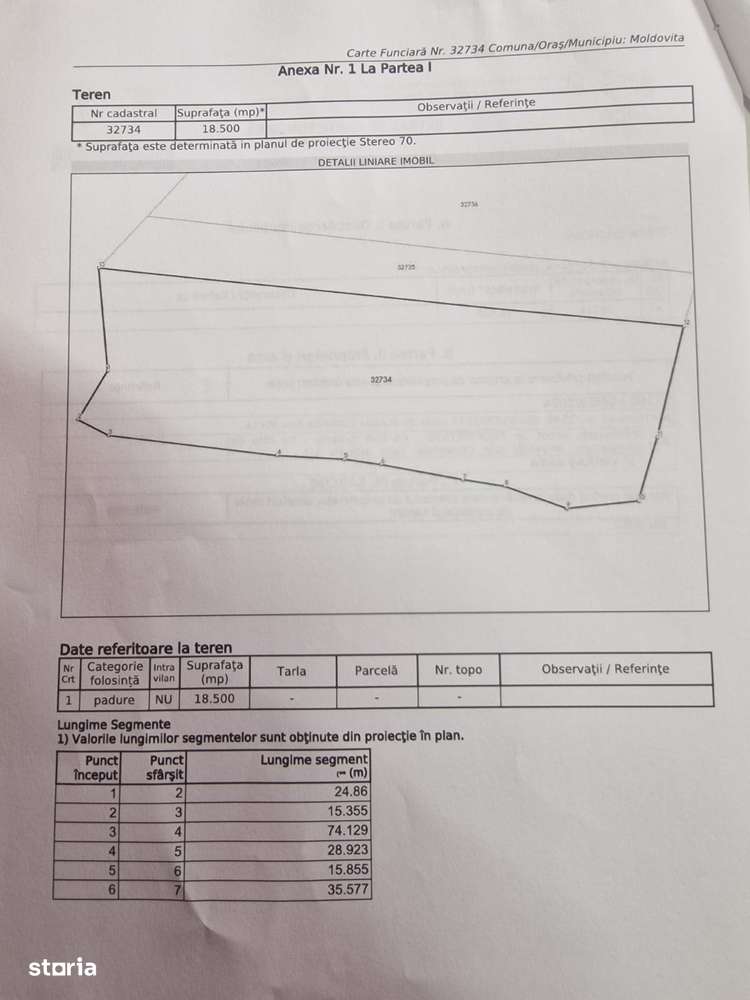 Vindem padure rasinoase 808 mc in 18500 mp, Moldovita - Suceava - Imagine principală: 3/6