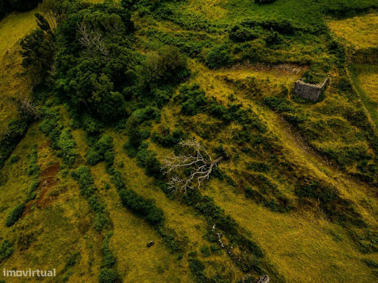 Ruína com 2996 m2 – Alto da Nascente, São Pedro-12