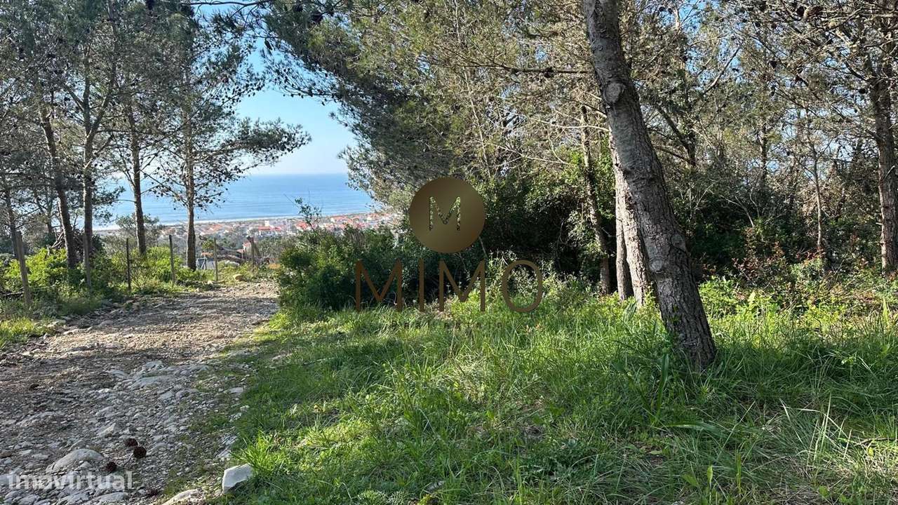 Terreno Para Venda na Murtinheira-23