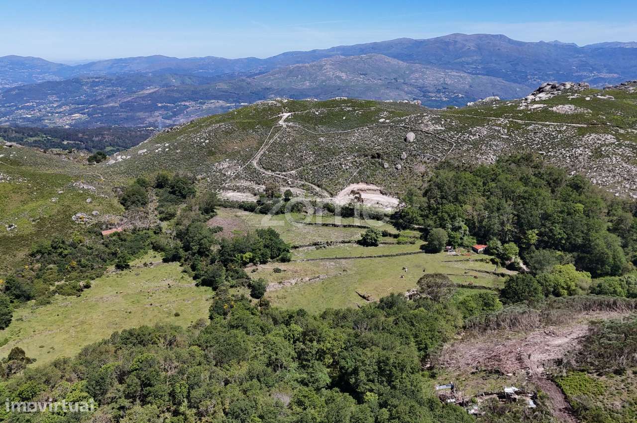 Terreno c/ruina Mixões da Serra-11