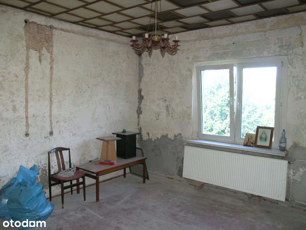 Syndyk sprzeda dom z budynkiem gospodarczym, duża działka, staw - Pełny obrazek: 4/20