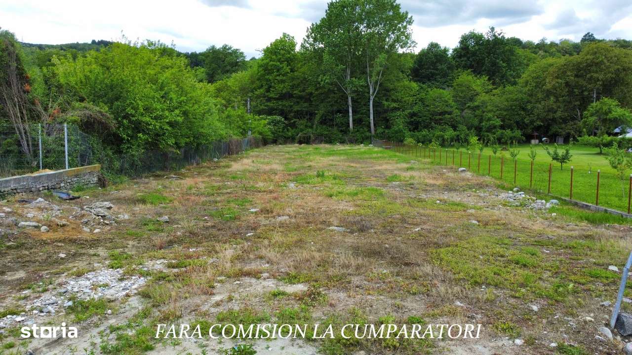 TEREN 2153 MP, BUJORENI - DESCHIDERE LA DN7 - Imagine principală: 5/10