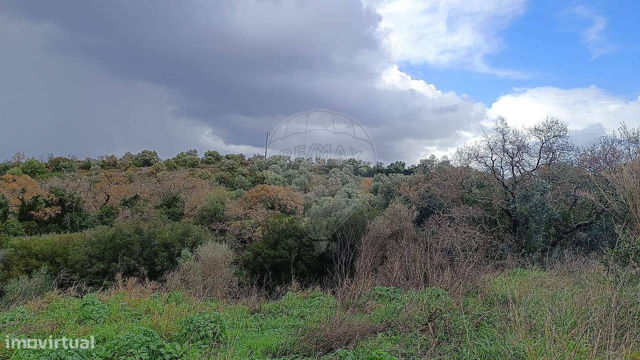 Terreno  para venda - Grande imagem: 3/17