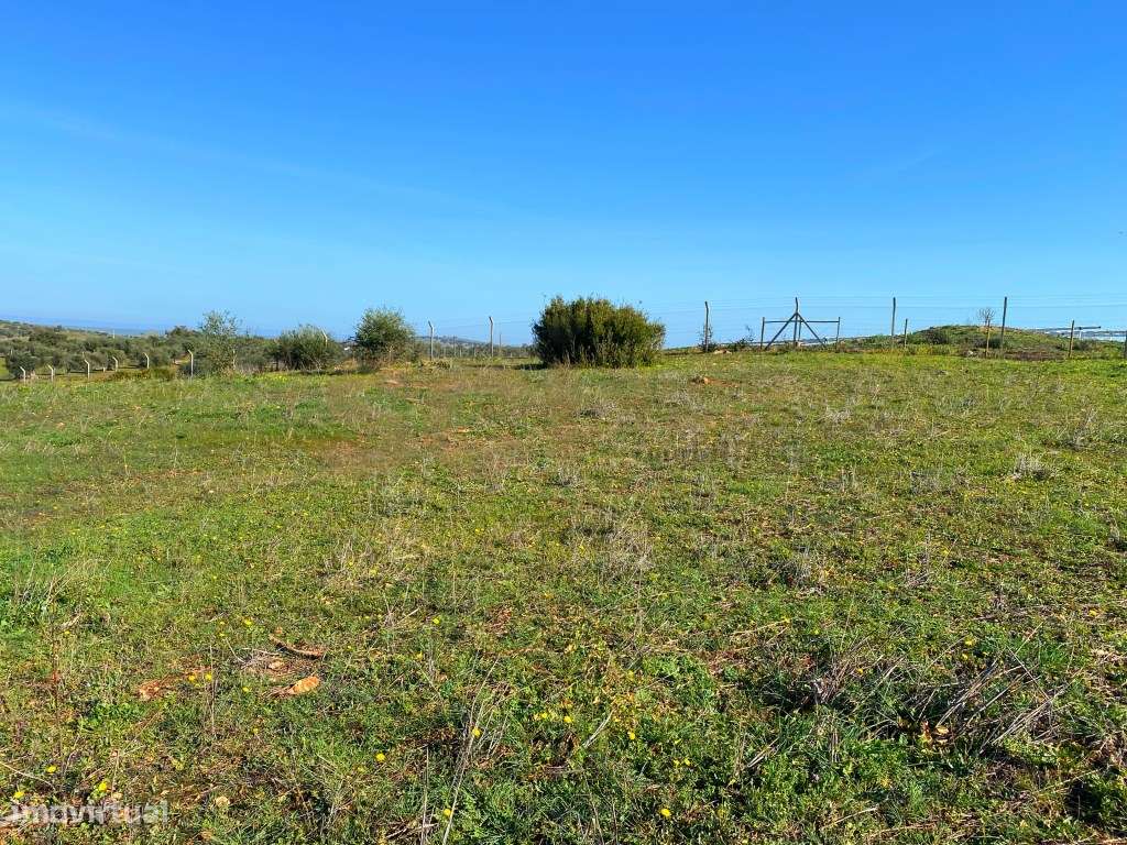 Terreno perto de Serpa, c/ possibilidade de construção de Hotel Rur... - Grande imagem: 4/17