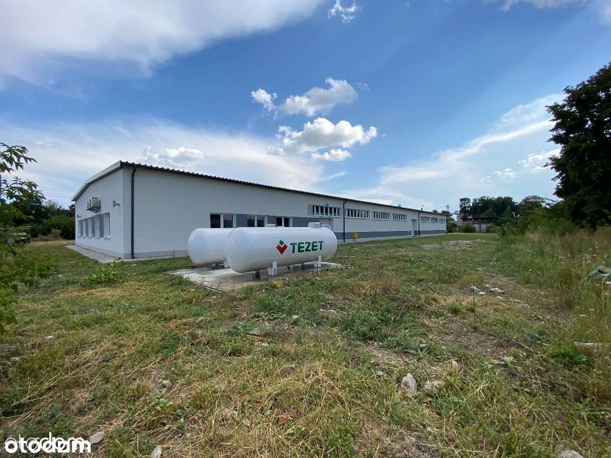 Hala 1050 m² z biurem i parkingiem – Stary Uścimów, po remoncie, - Pełny obrazek: 4/20