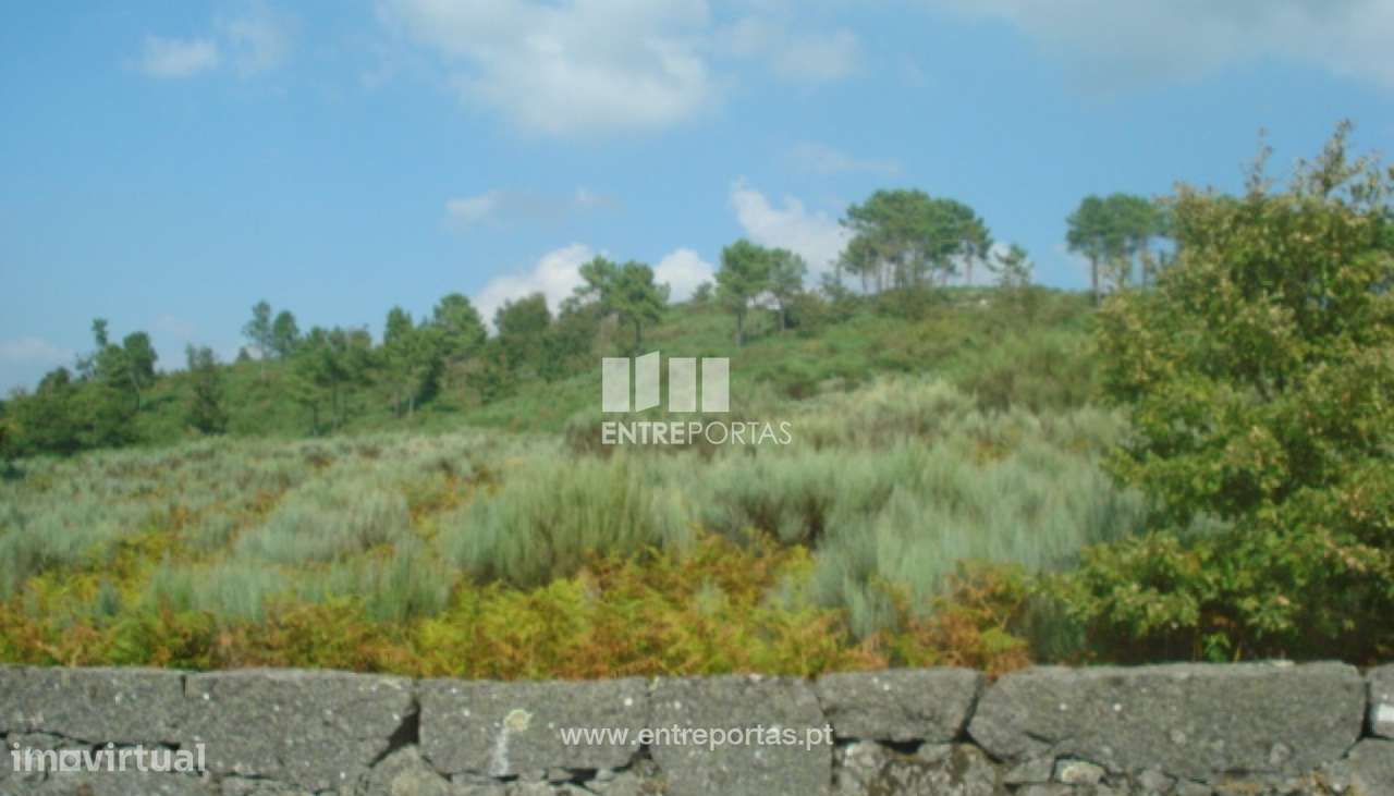 Venda Terreno, Gestaçô, Baião - Grande imagem: 4/5