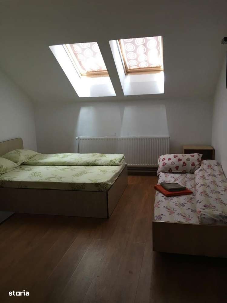 Pensiune turistica Valiug-13