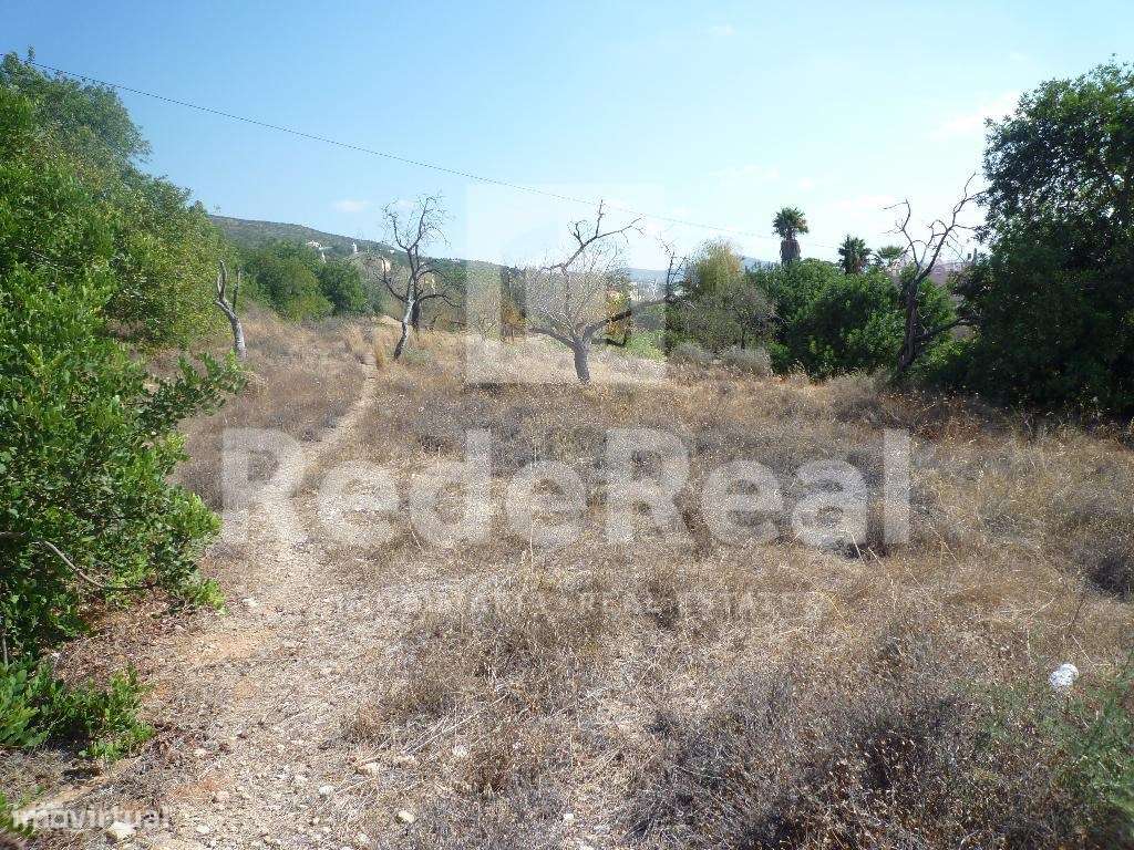 Terreno rústico, Loulé, Algarve. - Grande imagem: 5/6