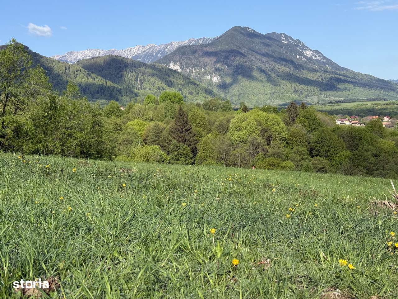 Teren intravilan zona Bran-Tohanita,judetul Brasov intre 500 si 1000 m - Imagine principală: 5/20