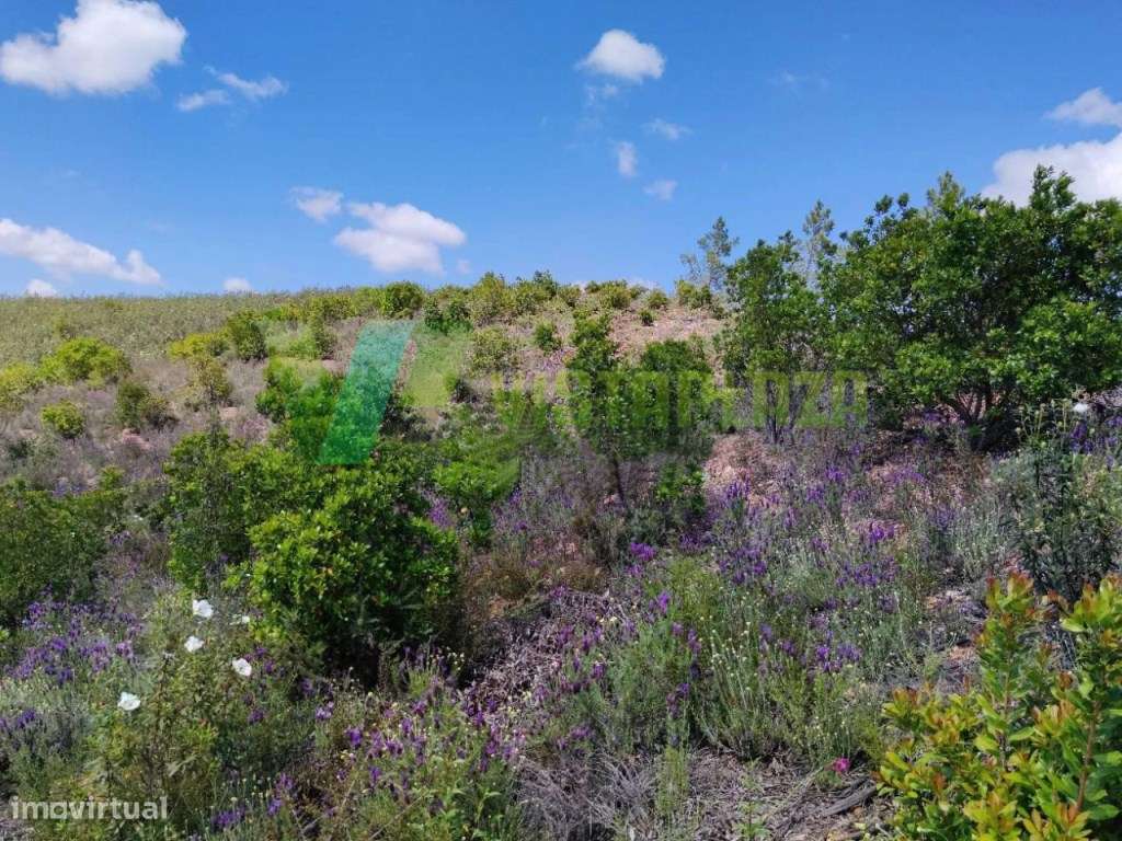 Lote de Terreno Rústico em Nave Redonda, Saboia - Grande imagem: 2/10