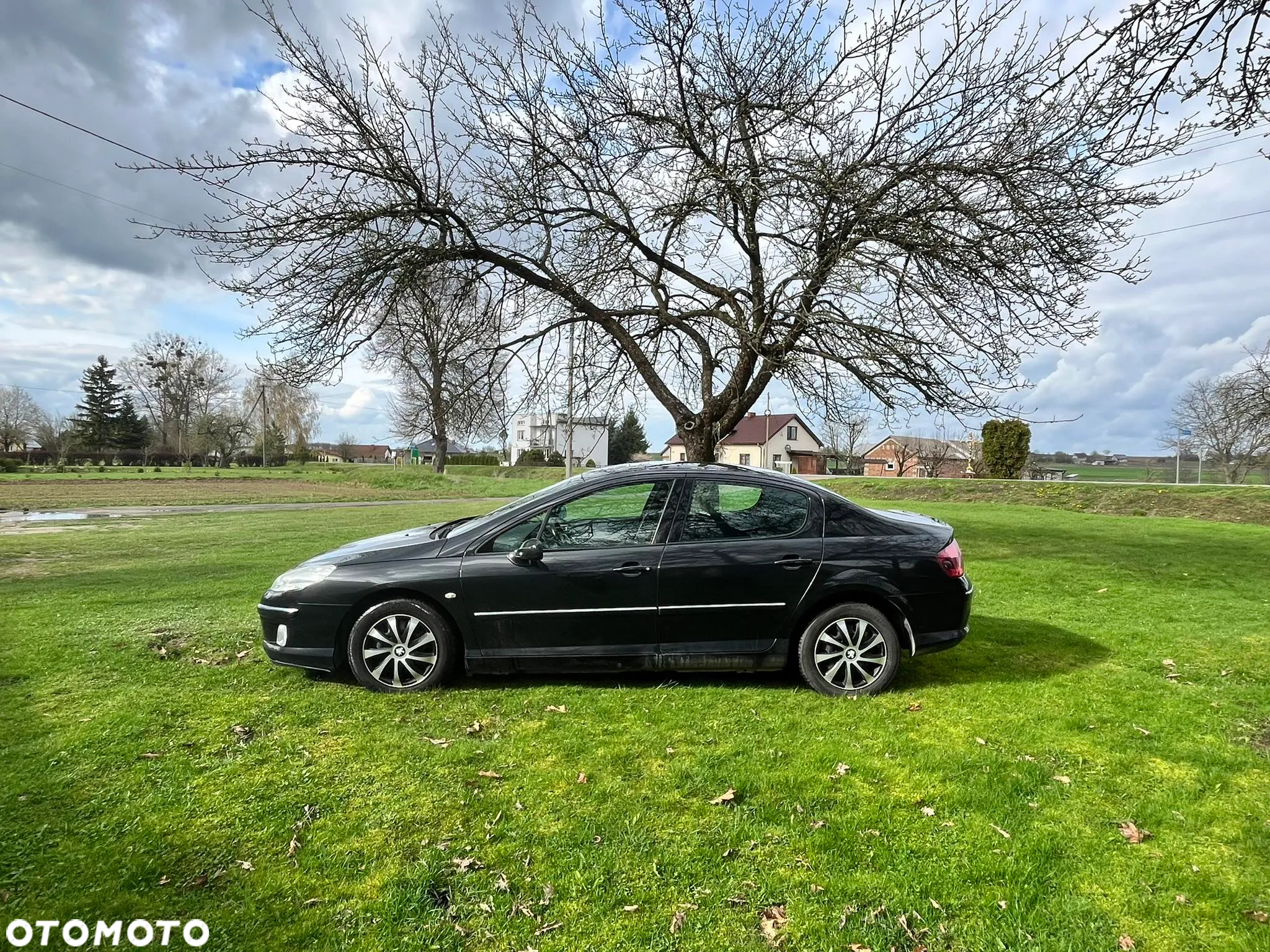 Peugeot 407 2.0 HDI Premium - 7