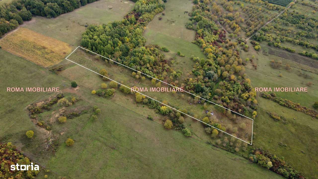 Berchez teren extravilan de vanzare - Imagine principală: 3/7