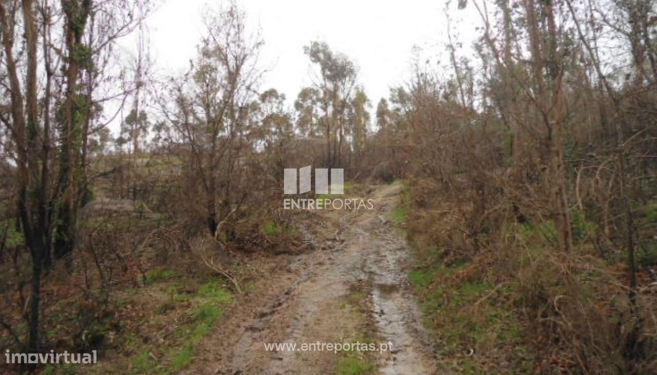 Venda Terreno, Várzea de Ovelha e Aliviada, Marco de Canaveses - Grande imagem: 4/7