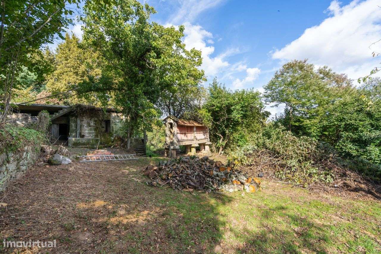 Moradia para restauro em quinta com 1.35Ha - Borbelinha, Adoufe-16