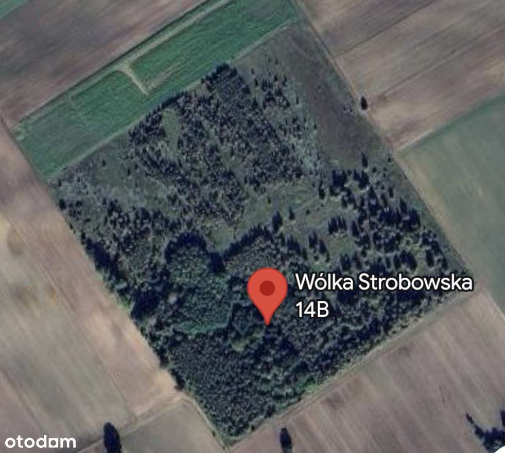 Działka z pięknym widokiem + pozwolenie na budowę domu/hotelu i stajni - Pełny obrazek: 4/20