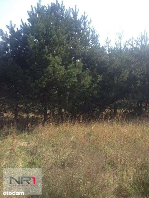 Działka przy drodze asfaltowej. - Pełny obrazek: 5/8