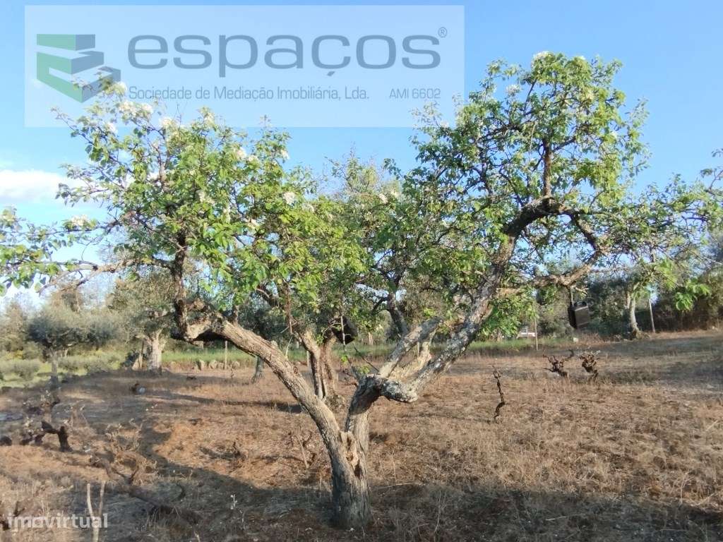 Quintinha com construções e poço - Grande imagem: 5/27