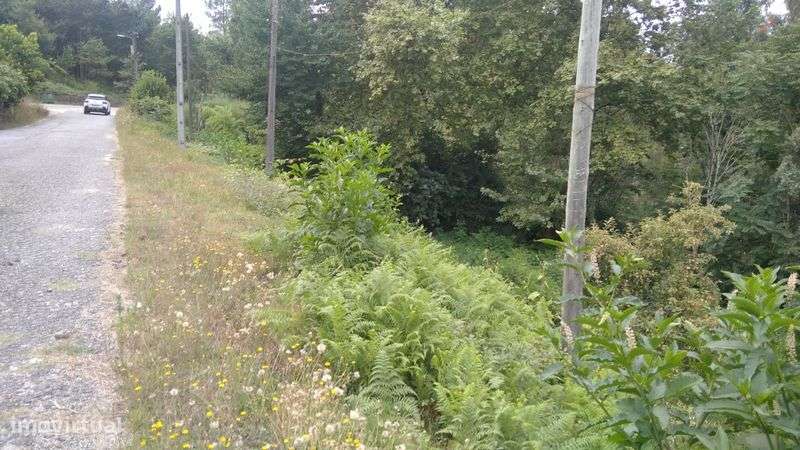 Venda de terreno para construção - Grande imagem: 4/8