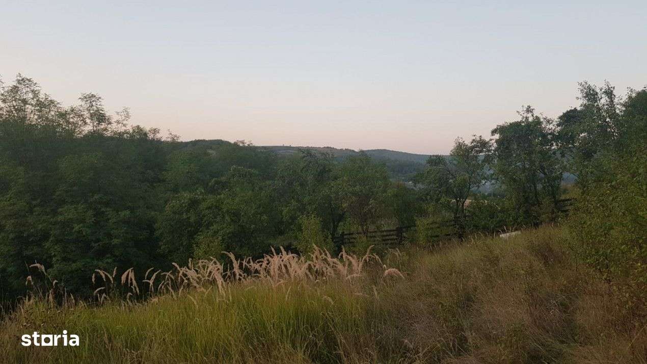 Teren Buhoci langa Padure - Imagine principală: 5/9