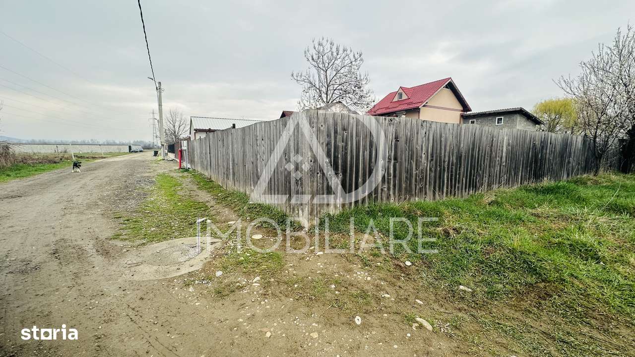 Teren de vânzare – 1000 mp, Dumbrava, Strada Ionel Teodoreanu - Imagine principală: 5/8