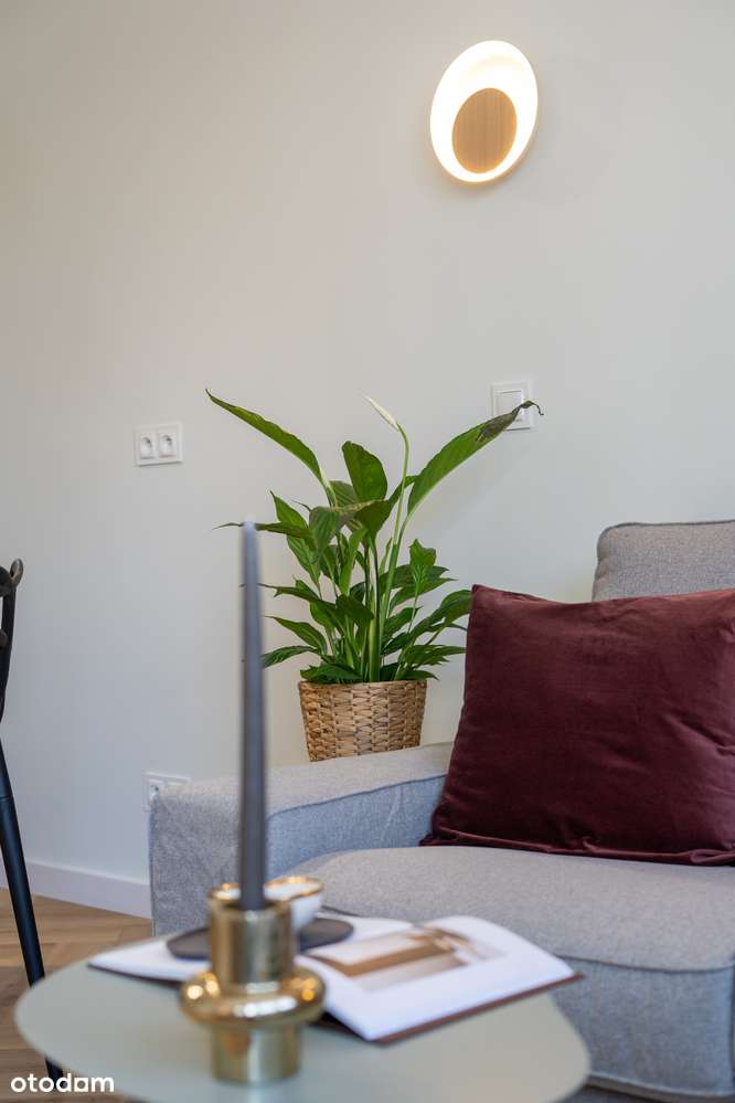 Nowoczesna kawalerka 30 m2 Centrum Krakowa – ul. Mazowiecka - Pełny obrazek: 4/12