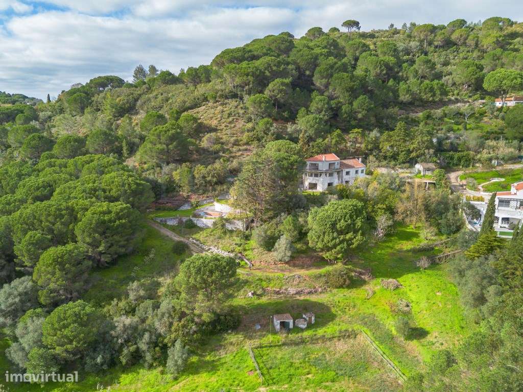 Quinta do Levante: Refúgio de Luxo com Projeto Aprovado no Coração ... - Grande imagem: 5/41