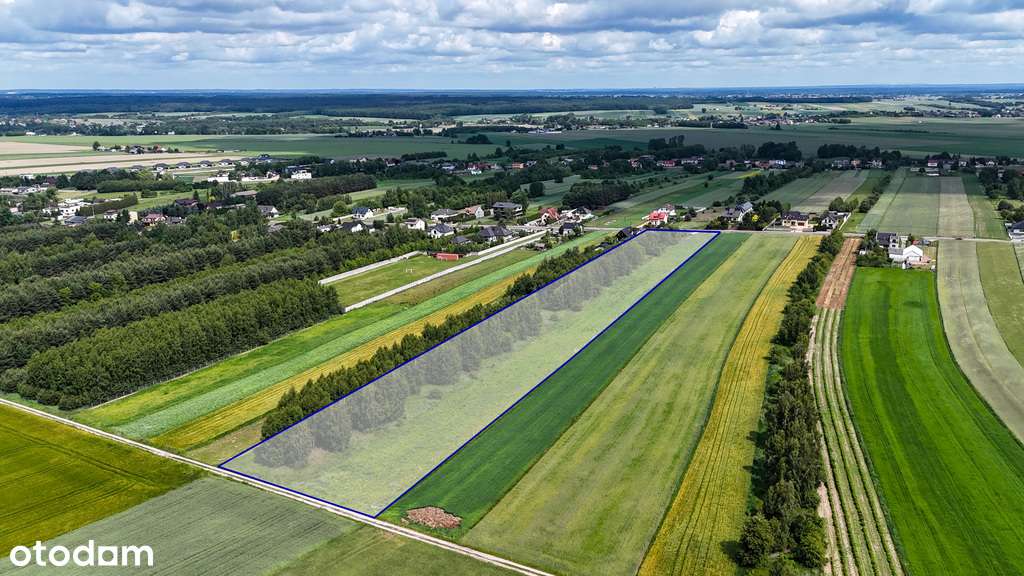 Kłobuck, ul. Szkolna | Działki budowlane - Pełny obrazek: 5/7