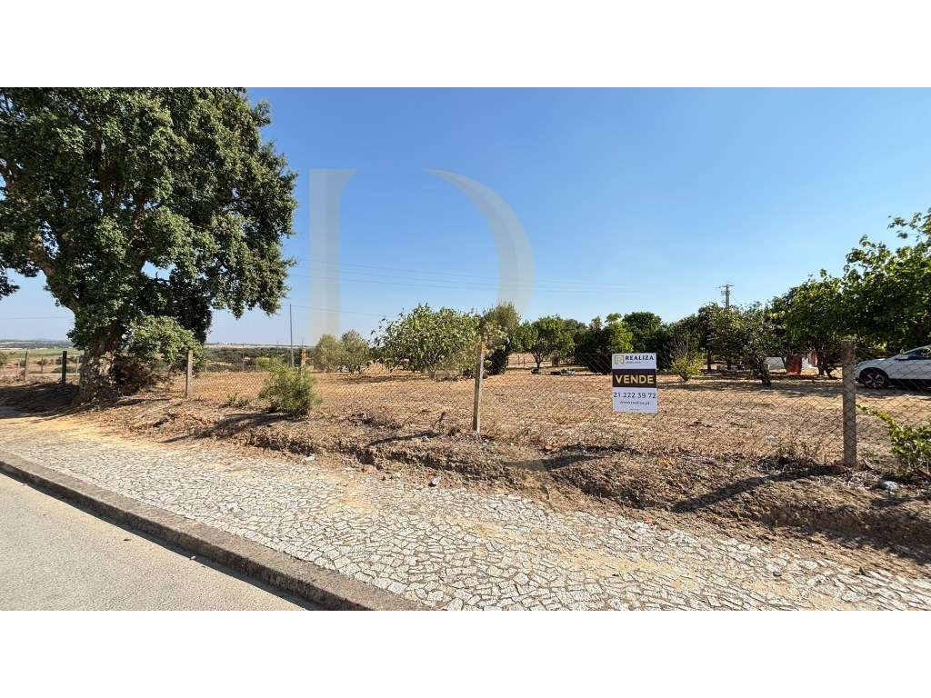 Moradia T3 transformada em T2 com Garagem, inserida num terreno de ...-33