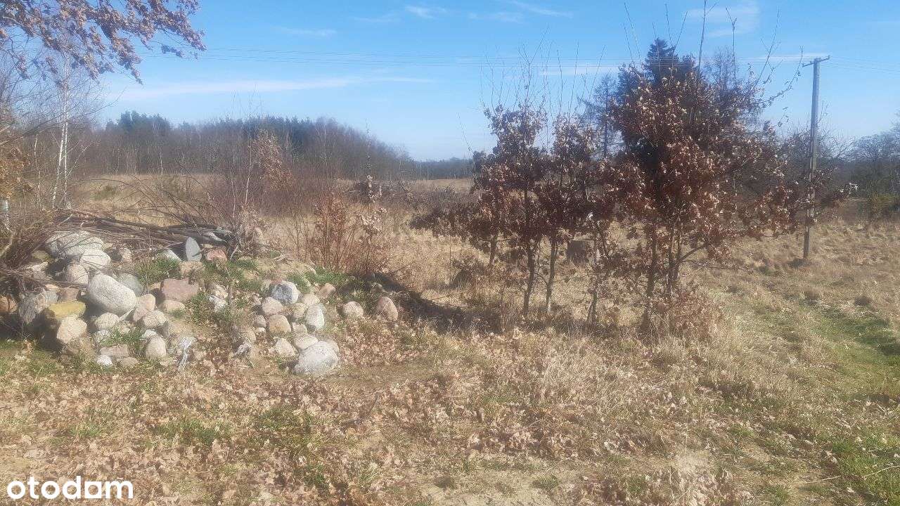 siedlisko rolnicze dom, możliwy podział - Pełny obrazek: 5/6