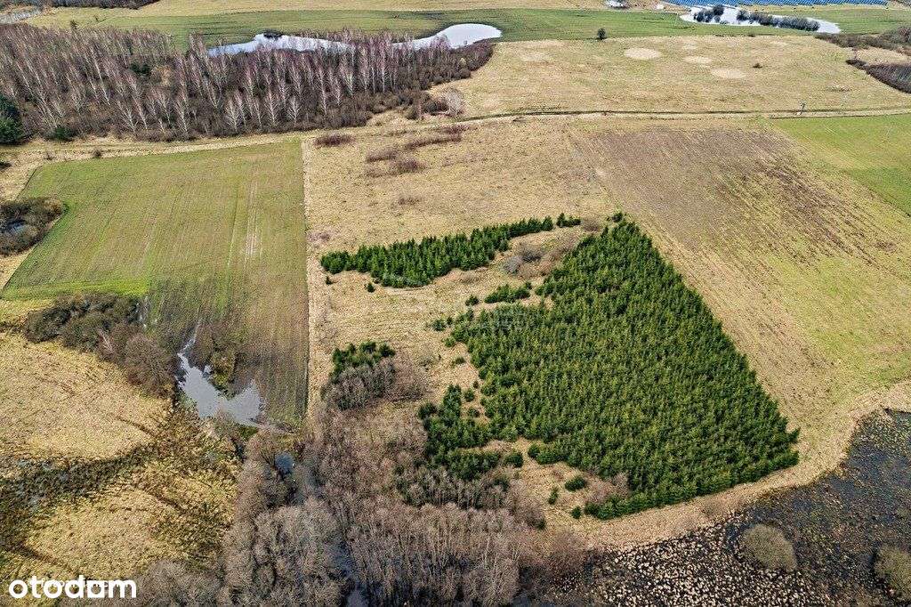 Boguszewo - działka z wydanymi warunkami zabudowy - Pełny obrazek: 5/9